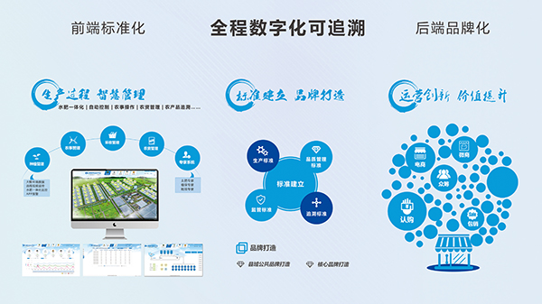 農產銷售——產供銷一體化